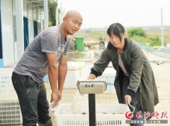 亩产万元！90后研究生夫妻稻虾逐梦