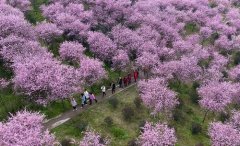 重庆璧山：打造“城市花园”