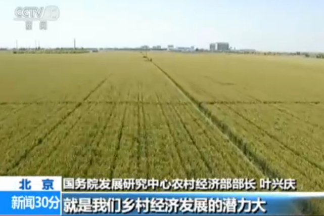 农业农村部：今年农业农村经济亮点频现
