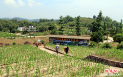 <b>长宁：推进秸秆综合利用 变废为宝</b>