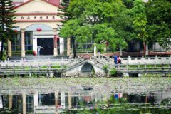 红山村：被誉为“广州市最美山村”