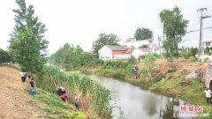 安徽：芦岭镇芦南村河道清理专项行动