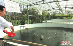 <b>智能化玻璃钢池养鱼 效益高</b>