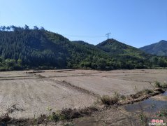 安徽梅街镇乌石村：荒地转型助脱贫