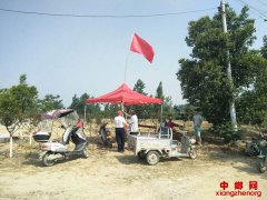 党建引领 禁烧不忘扶贫初心