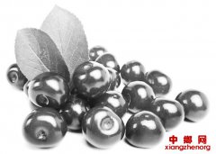 初夏养生：吃三鲜，忌三满，多出汗