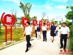 安徽凤阳县新时代文明实践集中观摩活动走进大庙镇