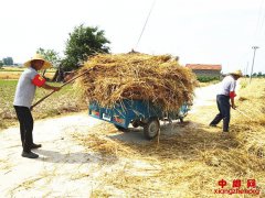 安徽大营镇：爱心积分助力秸秆禁烧