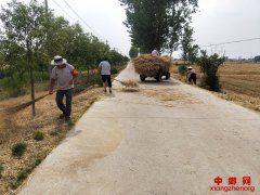 安徽埇桥区大营镇：全面开展秸秆清运工作 营造人人参与新态势