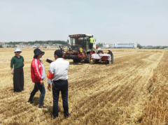 新河村扶贫宣传队助力秸秆禁烧