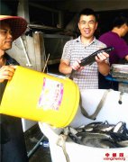 郯城：百万斤“巧个”银鳕鱼为何专供南方城市