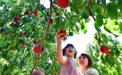 荒山变身富农生态园