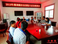 安徽定远县桑涧镇召开农业保险大走访座谈会