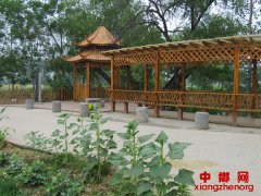 保护文化遗存 村民自发保护古井