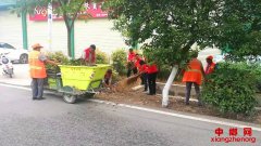 安徽西二铺乡：“干净家园”激发先锋新活力