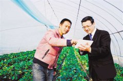 <b>重庆金融爱上“草根味儿”</b>