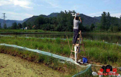 <b>农业农村部办公厅印发通知全面推进信息进村入户工程</b>