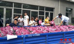 安徽五河县农业农村局“消费扶贫”助力帮扶村销售农产品