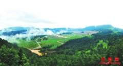 达州：乡村振兴激活通川沃土