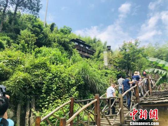 深山耕出“金苗子”畲乡景宁唱响“畲族生意经”