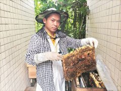 “80后”蜂疗师：用蜜蜂“针灸”为患者治病