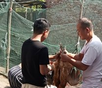 安徽蚌埠：村胡洼村电商扶贫助力贫困户增收