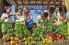 北京中小学迎来新学年 垃圾分类进入百校开学第一课