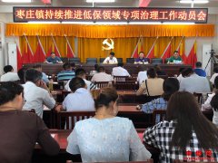 <b>安徽阜阳枣庄镇召开持续推进低保领域专项治理工作动员会</b>