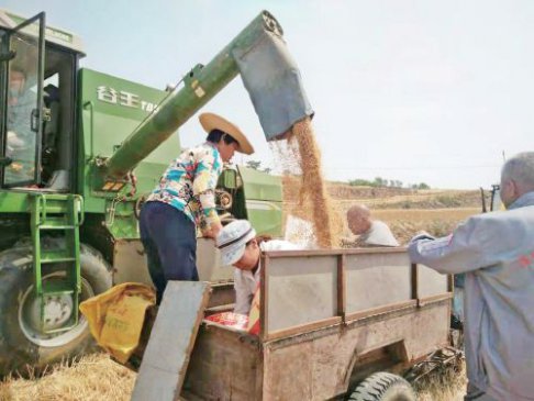 “生产托管”描绘现代农业画卷——山西省农业社会化服务调查