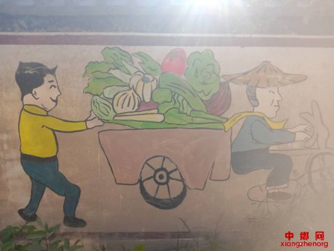 安徽省阜阳市颍东区枣庄镇“文化墙”为美丽乡村添风景