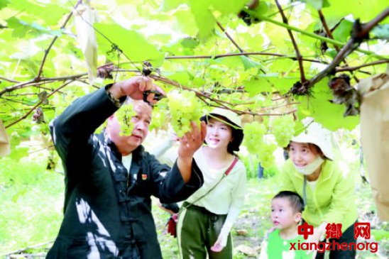 支部共建聚合力连心帮扶产业兴