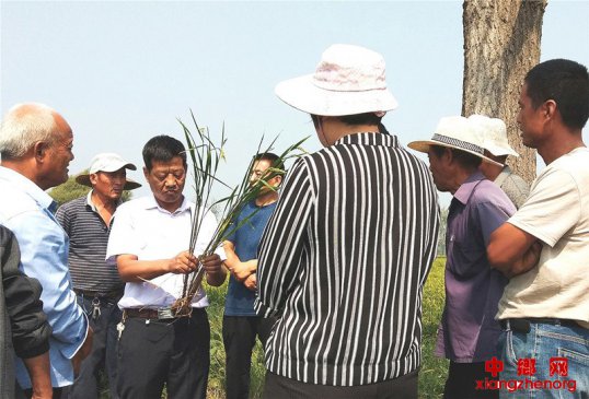 山东郯城：农专家“把脉”众农民觉醒