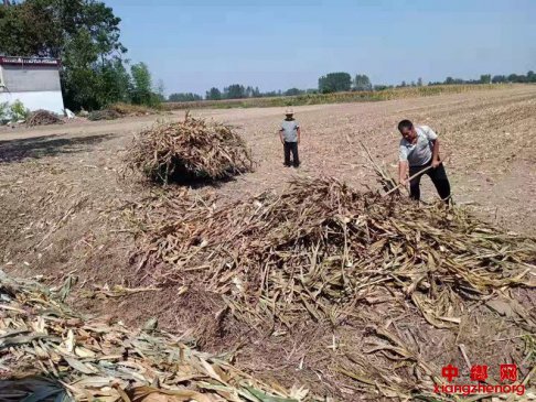 清运秸秆保禁烧