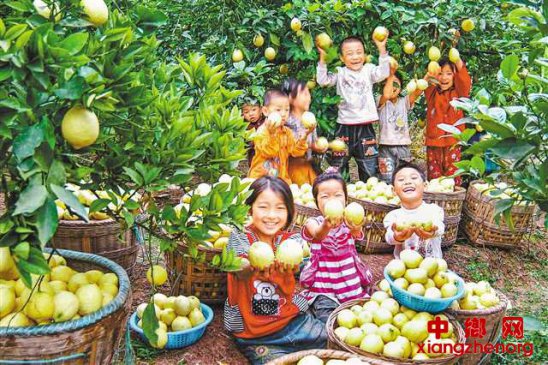 <b>“三农”迈向高质量发展 农业强农村美农民富</b>