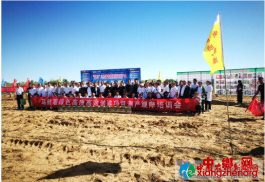 靖边县举办马铃薯绿色高质高效创建项目测产观摩培训会