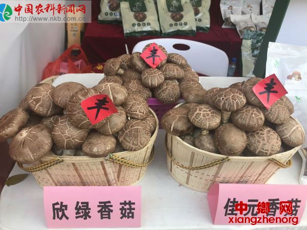 QQ图片20190930101856