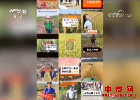 “手机成新农具 直播成新农活”农民网红直播观众超650万人