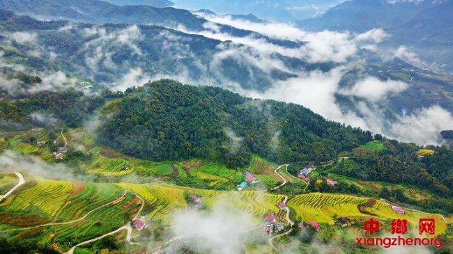 陕西岚皋：巴山深处话丰收 鱼跃岚河兴乡村