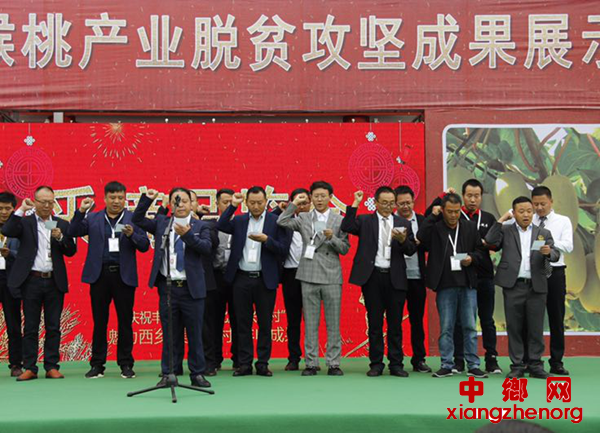 图片13_副本.png