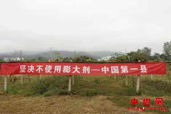 图片16_副本.png