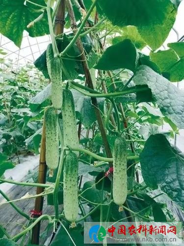 微信图片_201910120859105