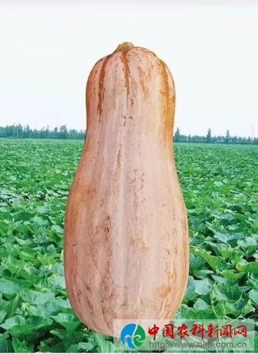 微信图片_201910120859107