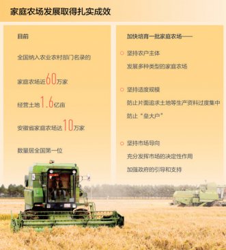 家庭农场 农业高质量发展生力军（经济发展亮点多韧性足）