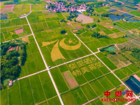 农业“标准地”改革的“婺城模式”