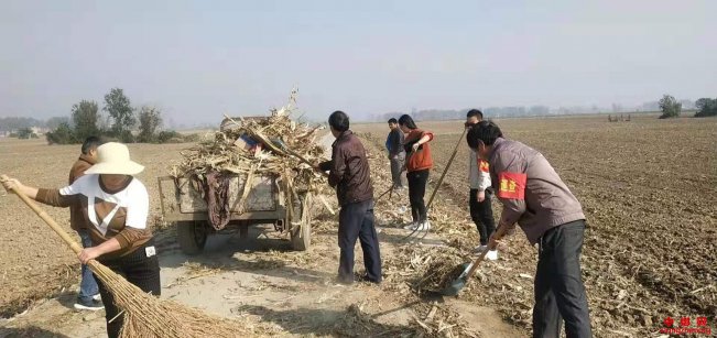 安徽埇桥区大营镇：党员干部当先锋 禁烧扫尾清六净