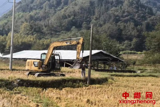 <b>安徽棠溪镇：“手、脚、肩、心”齐上阵，办实事、解民忧，为主题教育增彩</b>