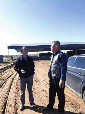 “两料三方四步”法 助力养牛赚大钱