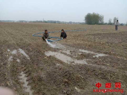 <b>安徽：枣庄镇为秋种小麦浇灌“蒙头水”</b>