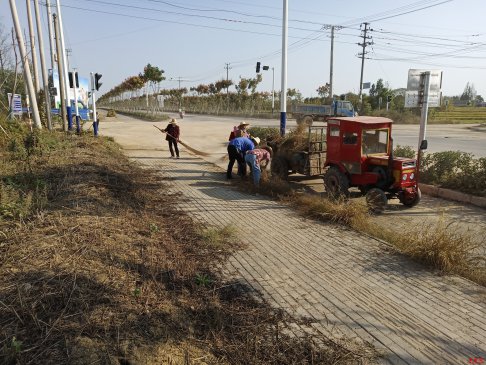 <b>安徽庐江：郭河镇开展Y型道路环境卫生集中整治</b>