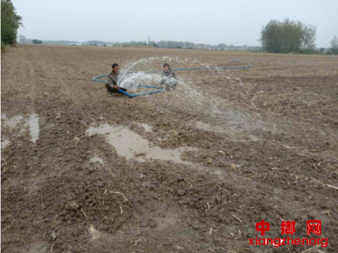 安徽：枣庄镇全力打好抗旱保苗战